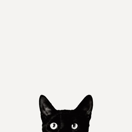 Curiosity | Jon Bertelli